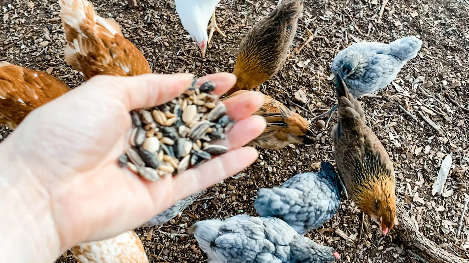 The Light Within So Much Darkness