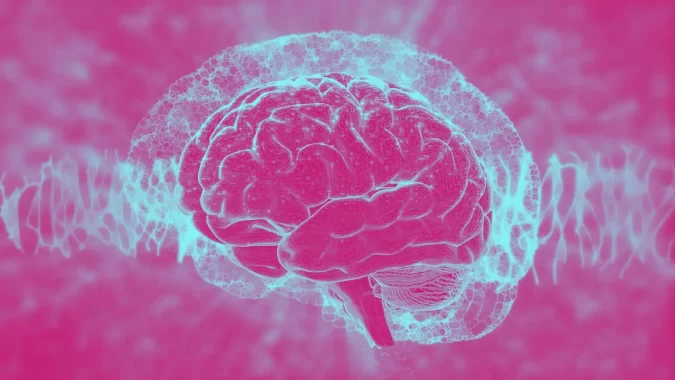 Brain Matters: Neuroscience and Yoga