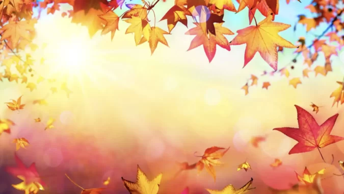 Fall in Love with Change