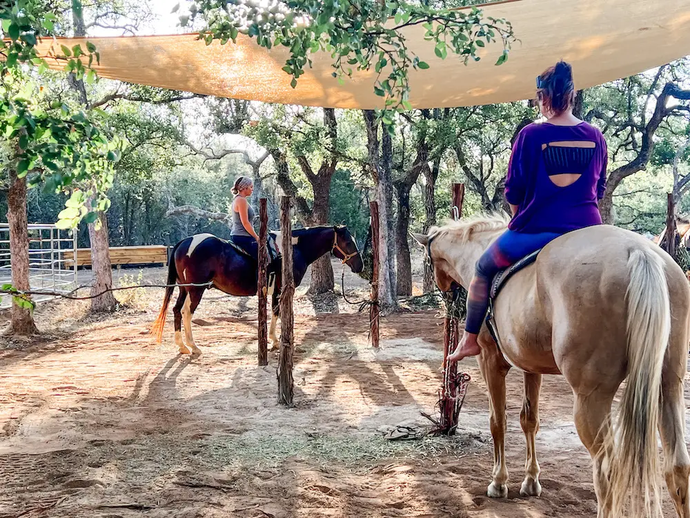 horse yoga group smaller