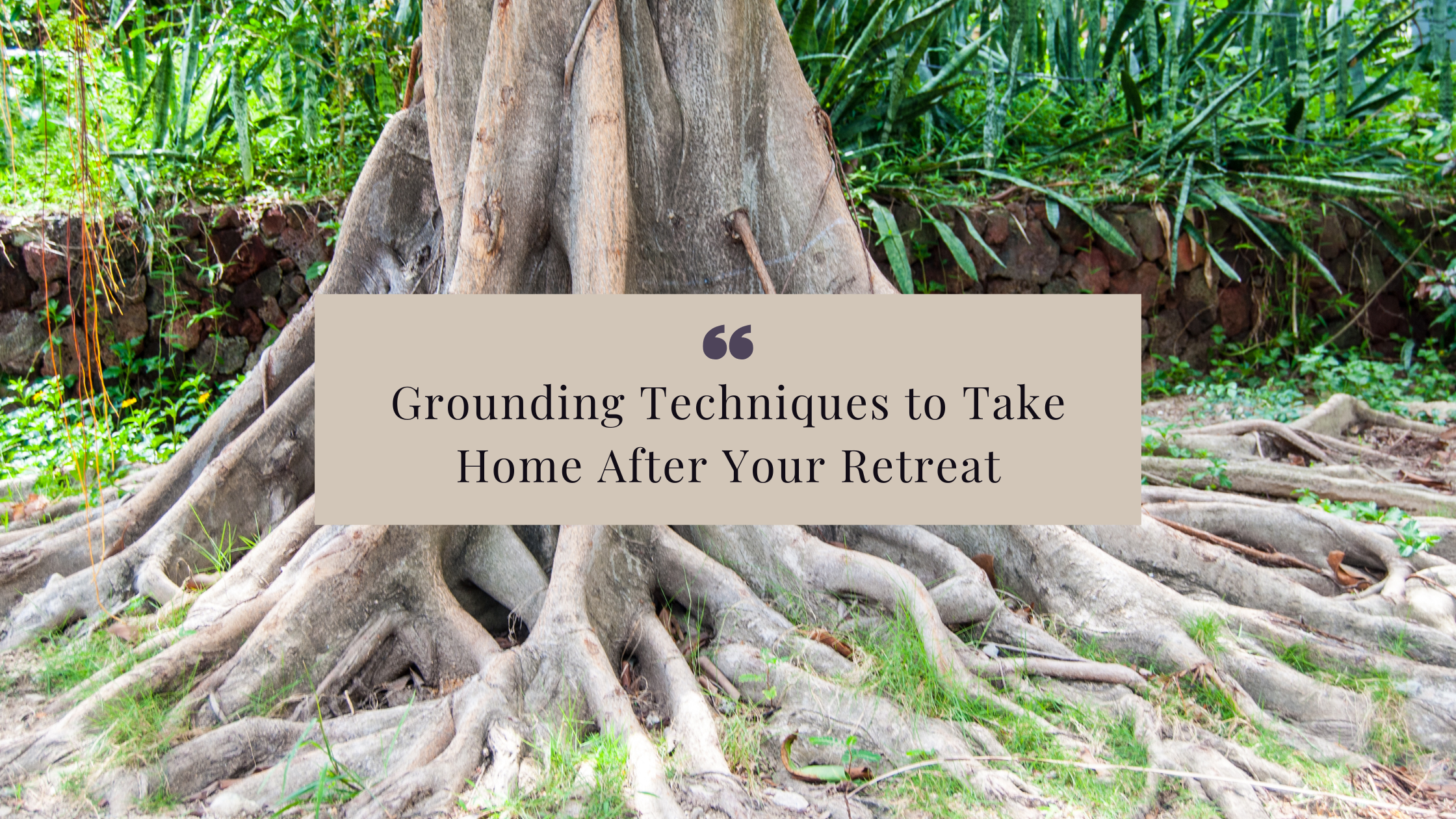 Discover grounding techniques like meditation, breathwork, and visualization to stay balanced and clear. Learn how to apply these retreat practices in daily life for ongoing calm and connection.