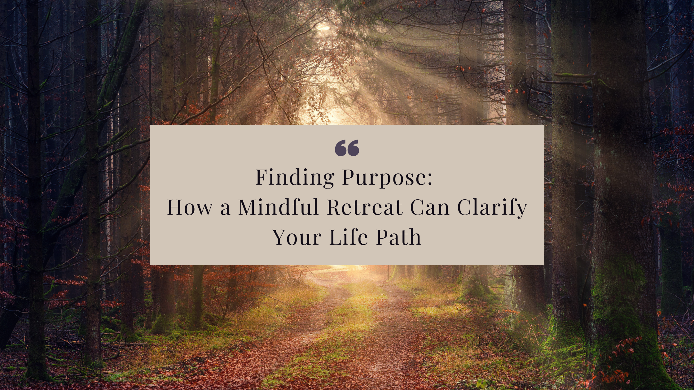 Discover how finding your purpose can transform your life. Learn how mindful retreats help you reconnect with your passions, release limiting beliefs, and gain clarity on your life path.