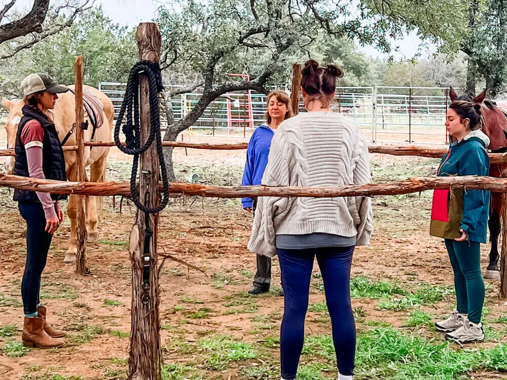 Equine-Mindfulness-Activities