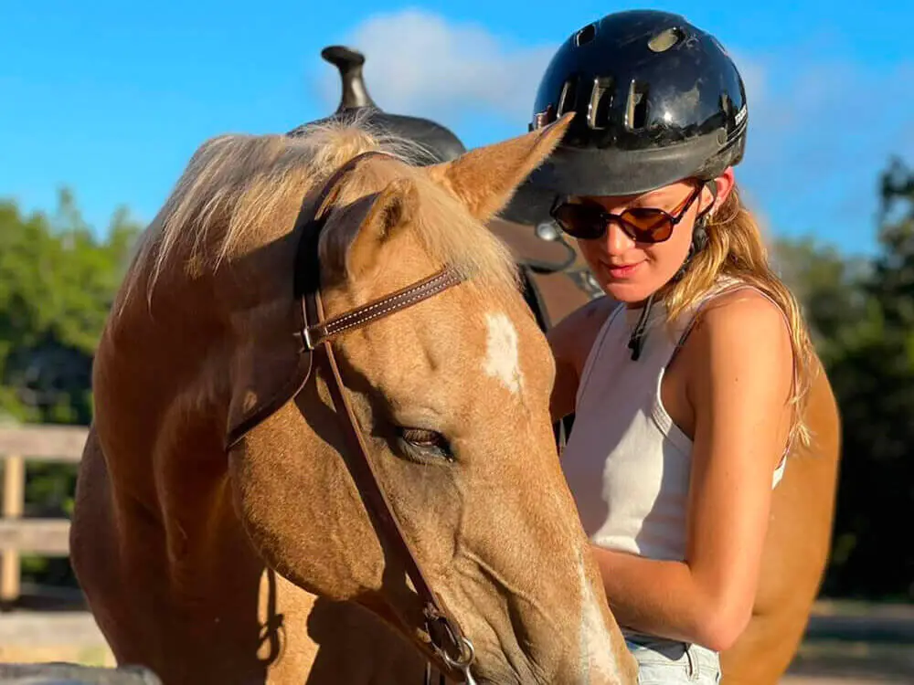 Safety-Considerations