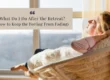 What Do I Do After the Women's Retreat and How to Keep the Feeling From Fading