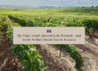 The Vines Aren't Allowed to Be Watered - and Maybe Neither Should You Be Rescued: Women's Stress Reduction Retreats and a Retreat for Burned Out Women Ready to Go Deep