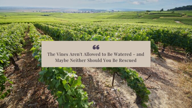 The Vines Aren't Allowed to Be Watered - and Maybe Neither Should You Be Rescued: Women's Stress Reduction Retreats and a Retreat for Burned Out Women Ready to Go Deep